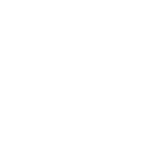 Maxhaust Logo